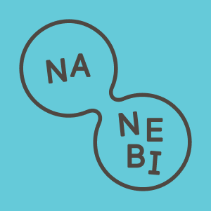 Logo projektu NaNebi